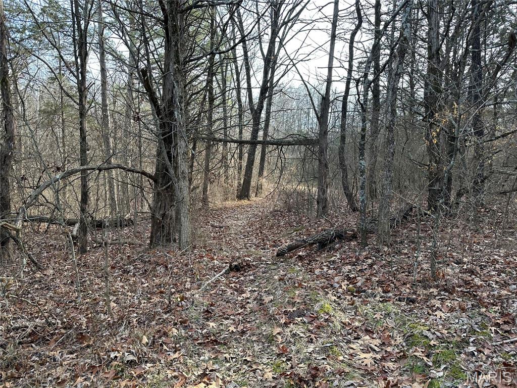 Pleasant Pines Subdivision - Farm