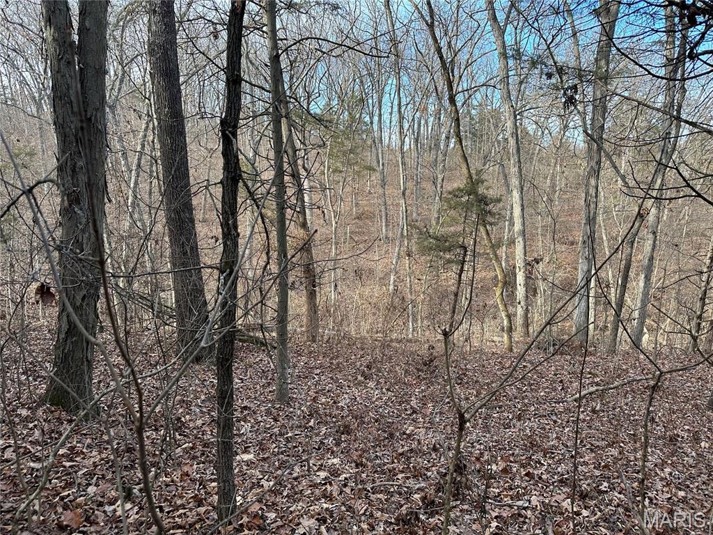 Pleasant Pines Subdivision - Farm