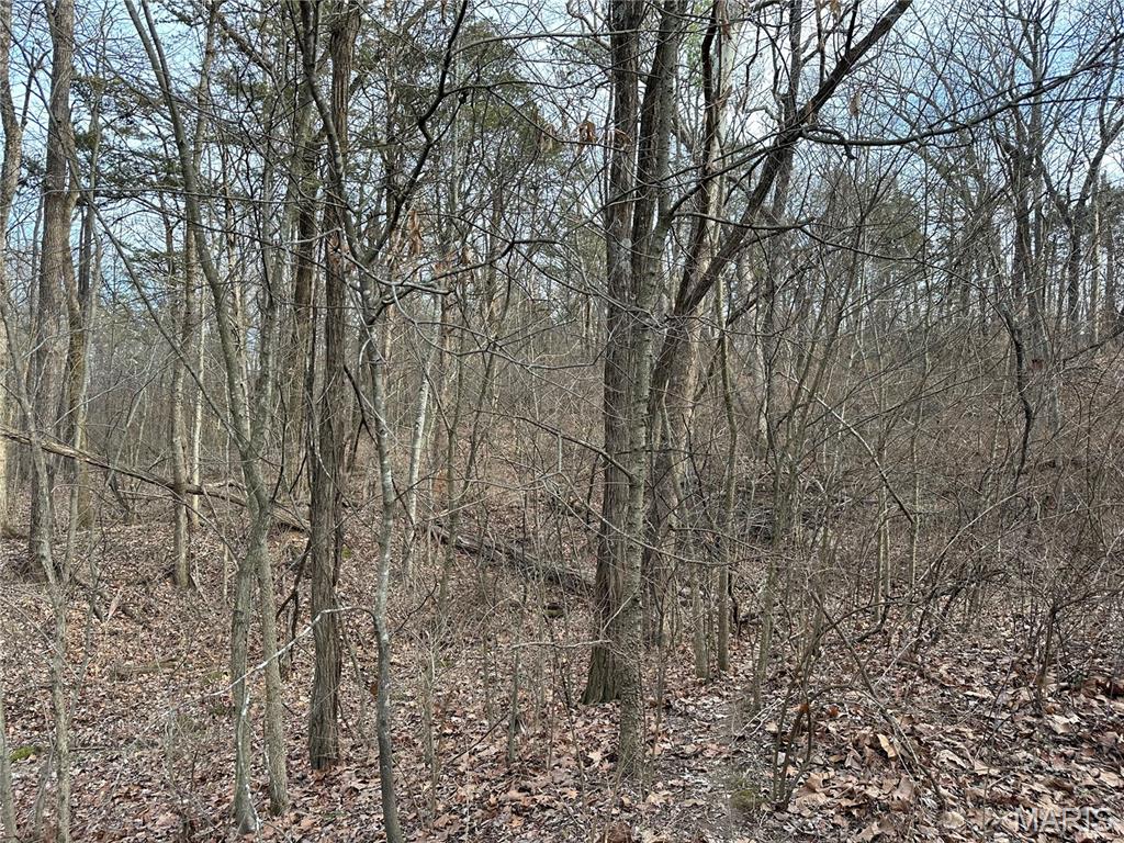 Pleasant Pines Subdivision - Farm