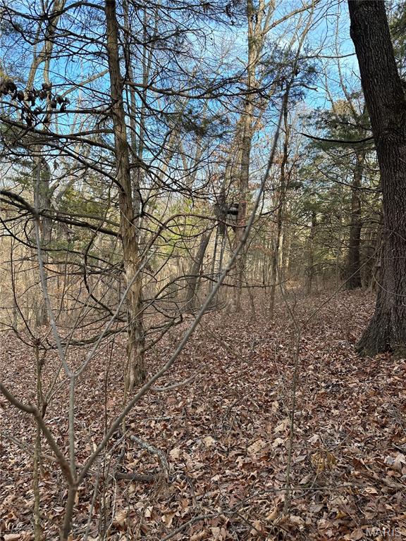 Pleasant Pines Subdivision - Farm