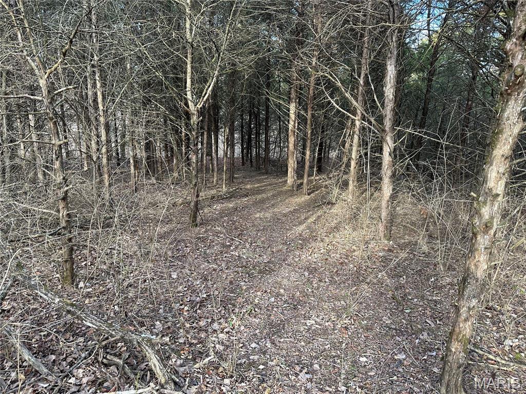 Pleasant Pines Subdivision - Farm