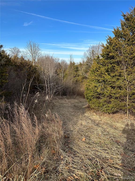 Pleasant Pines Subdivision - Farm