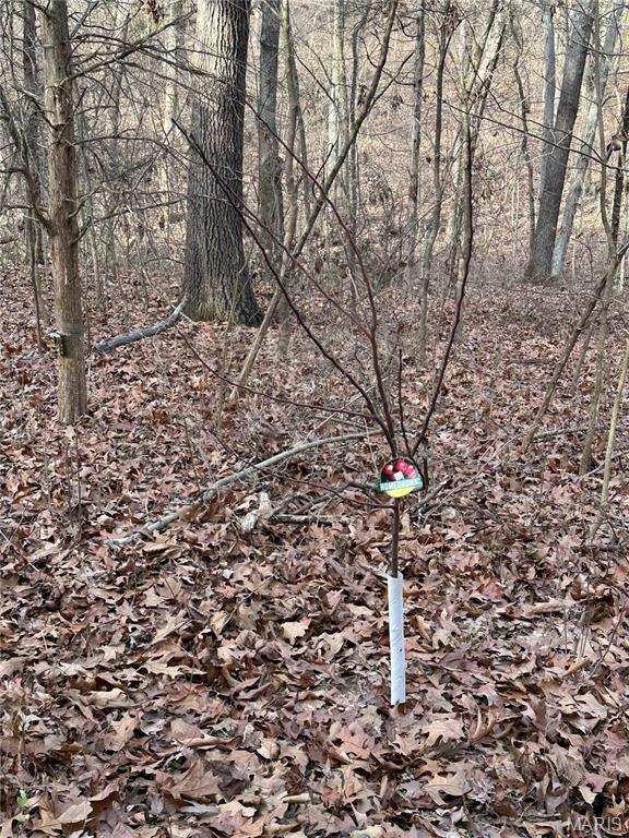 Pleasant Pines Subdivision - Farm