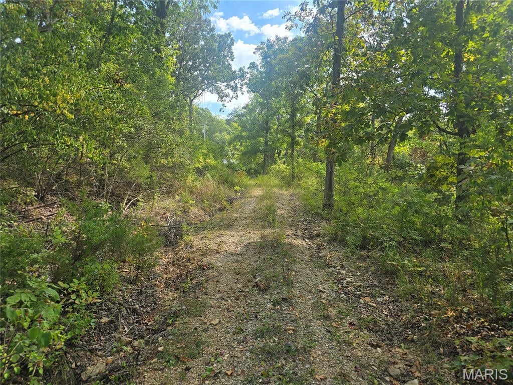 Five acres of raw opportunity with no HOA to answer to. The existing residential structure is a blank canvas: bring your renovation vision or plan a full rebuild. A workshop sits on the property and needs some work of its own, ready for a handyman, hobbyist, or someone who wants a real shop space once it's brought back. Two chicken coops are already in place for anyone dreaming of a small hobby farm or homestead setup. A striking bluff face rises behind the home, giving the property a dramatic natural backdrop you won't find on a typical lot. Once the acreage is cleared, cleaned up, and the natural boundaries are established, this parcel offers the kind of privacy and seclusion that's getting harder to find. Heads up on access: the driveway is rough right now, so plan to walk in, ride in on an ATV, or come by horseback until it's improved. For the right buyer who wants space, nature, and a true project, this is a rare shot at something special.