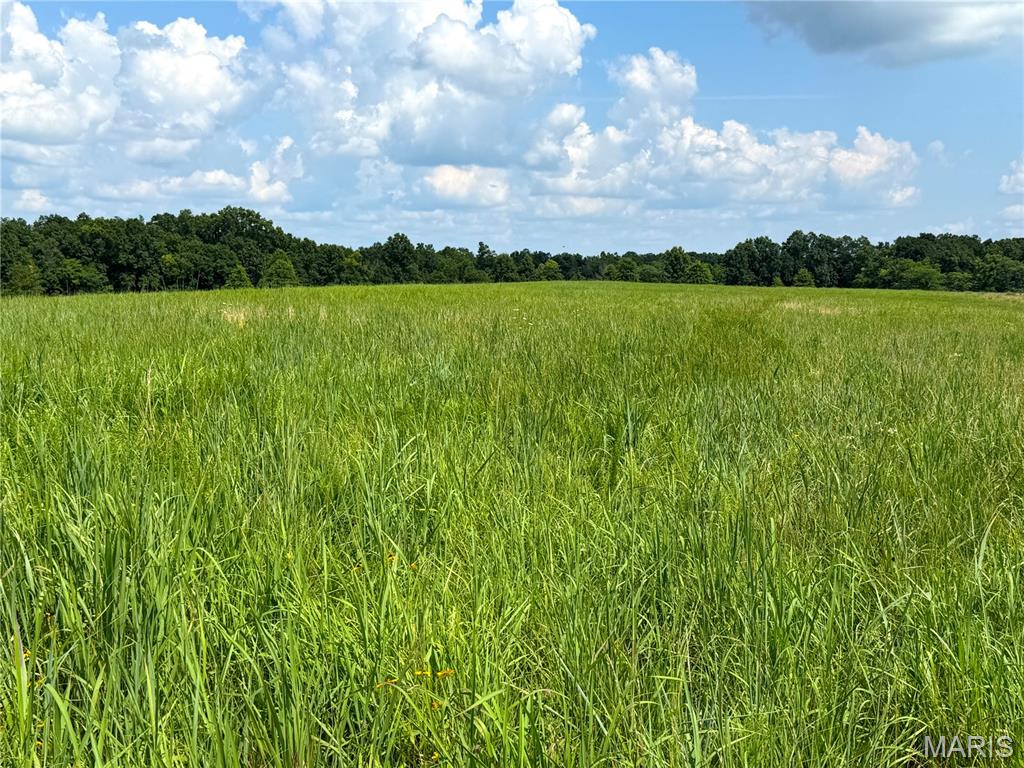 N/A, NA, None, 0 - Farm