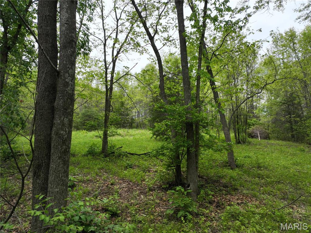 Spring House Meadows - Land