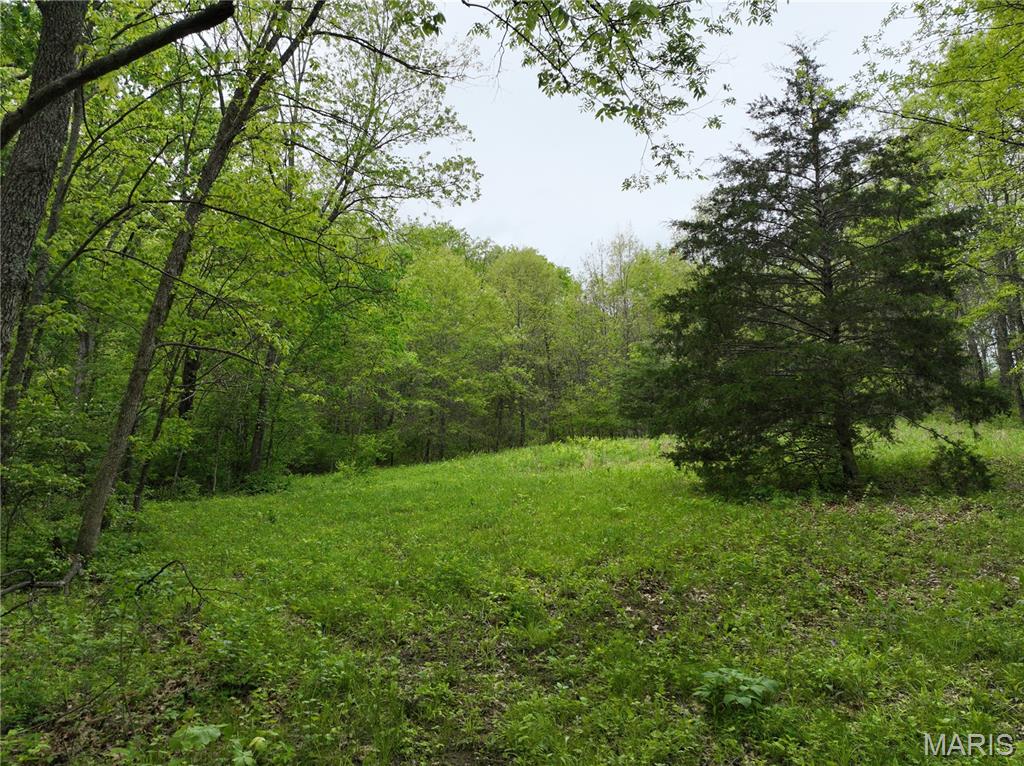 Spring House Meadows - Land