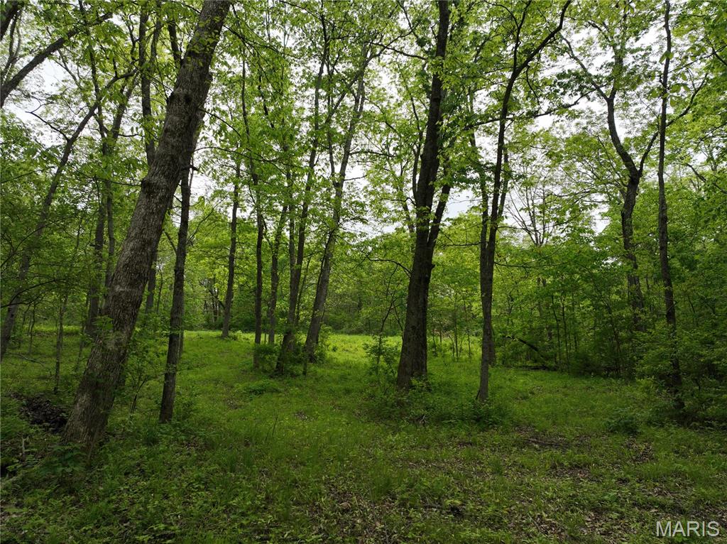 Spring House Meadows - Land