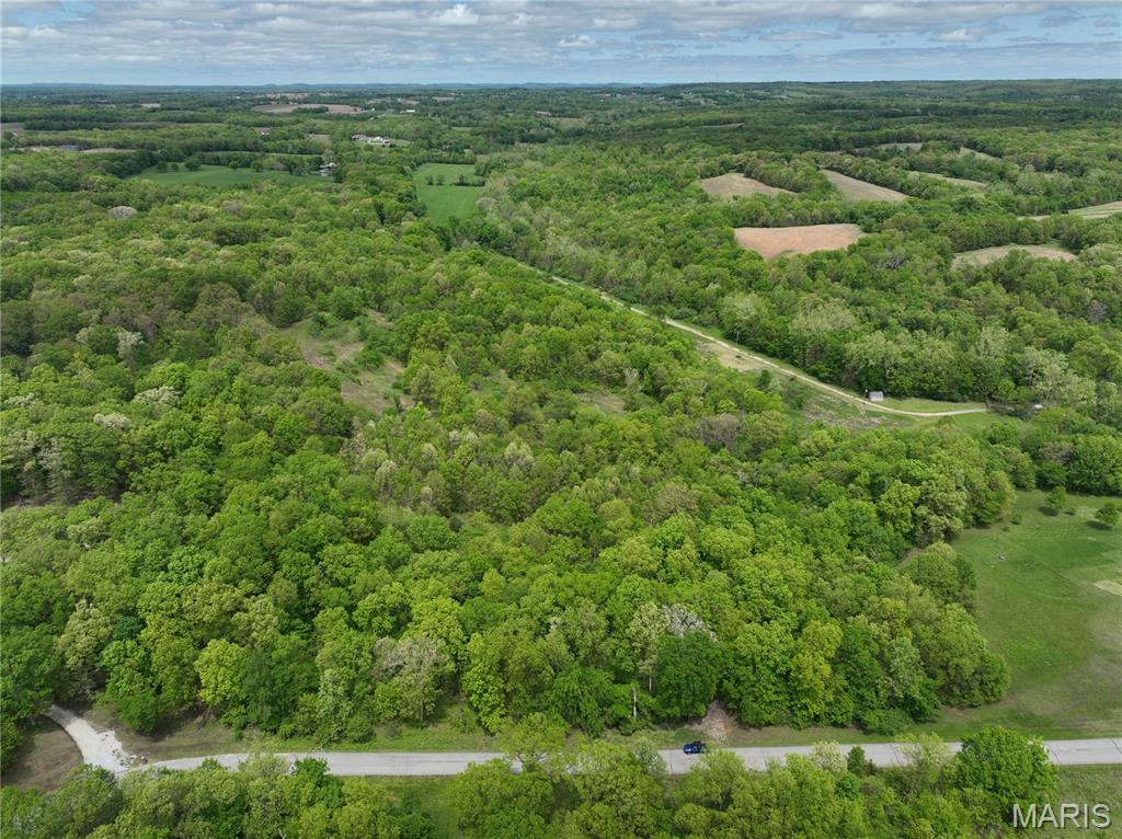 Discover the perfect place to build your dream home on this 3.73± acre lot in desirable Spring House Meadows! Lot 12 offers paved road frontage and a beautiful setting with plenty of room to create your ideal homesite. Electric is available, making the building process even more convenient. Enjoy the benefits of HOA-maintained roads while preserving the neighborhood's appeal through reasonable restrictions. A septic system will be required. Whether you're looking for a peaceful country retreat or a place to build your forever home, this acreage offers the space, setting, and accessibility you've been searching for. Don't miss this opportunity to own a beautiful piece of land in a well-maintained community!