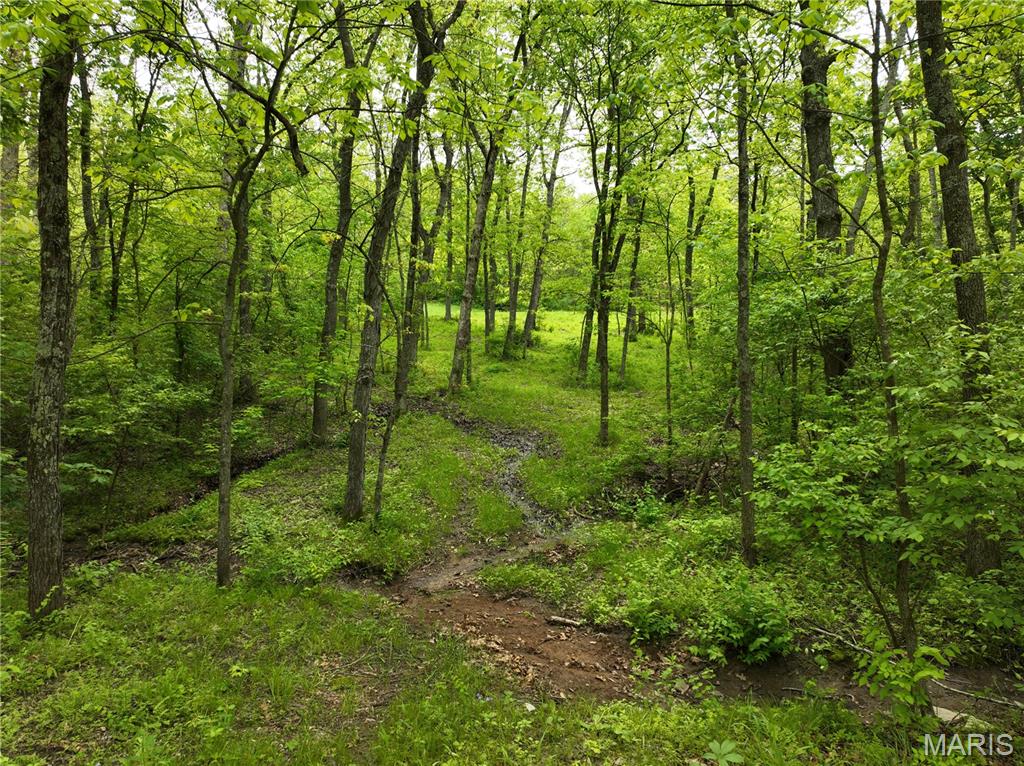 Spring House Meadows - Land