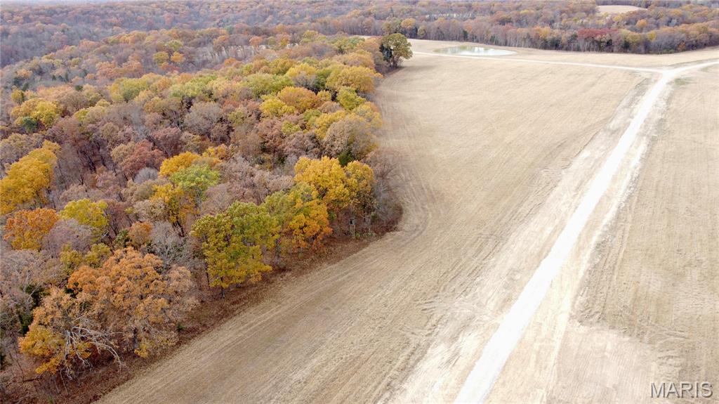 Polston Farms - Farm