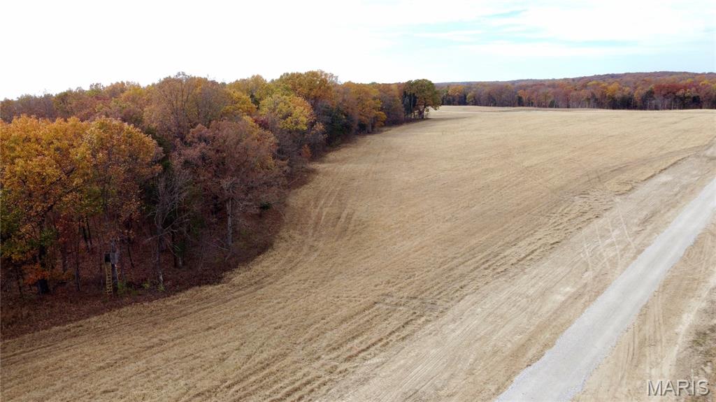 Polston Farms - Farm