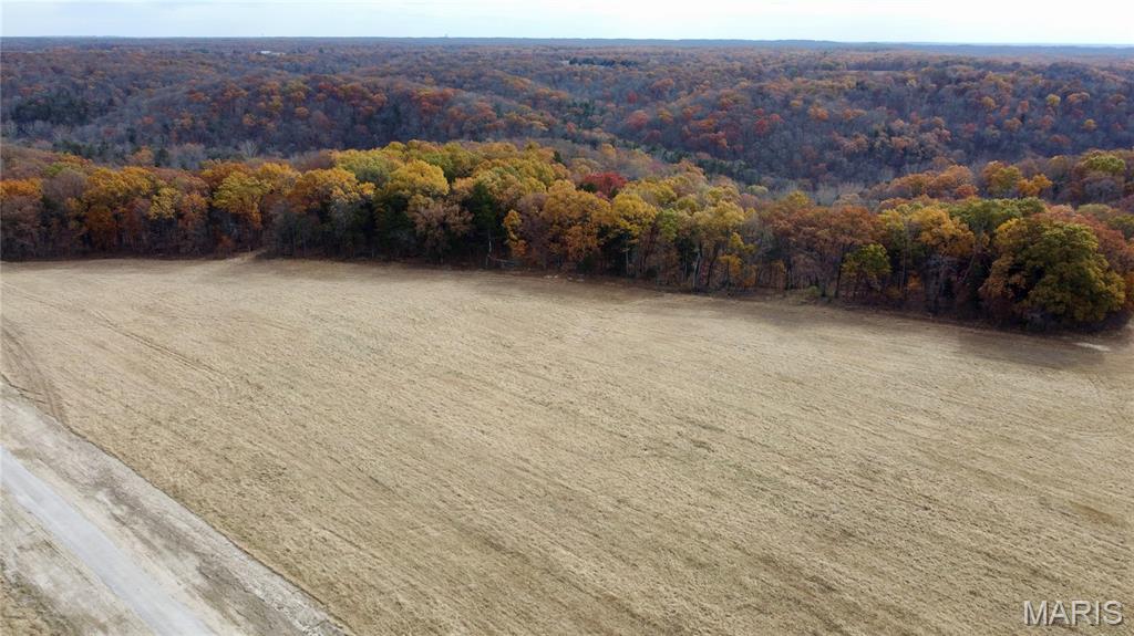 Polston Farms - Farm