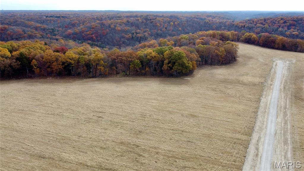 Polston Farms - Farm