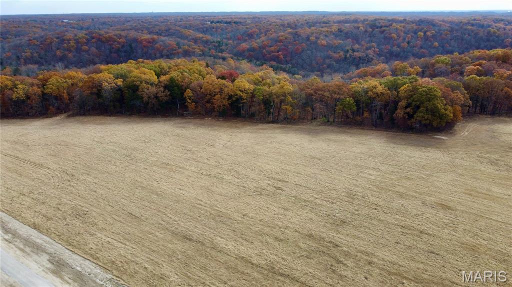 Polston Farms - Farm