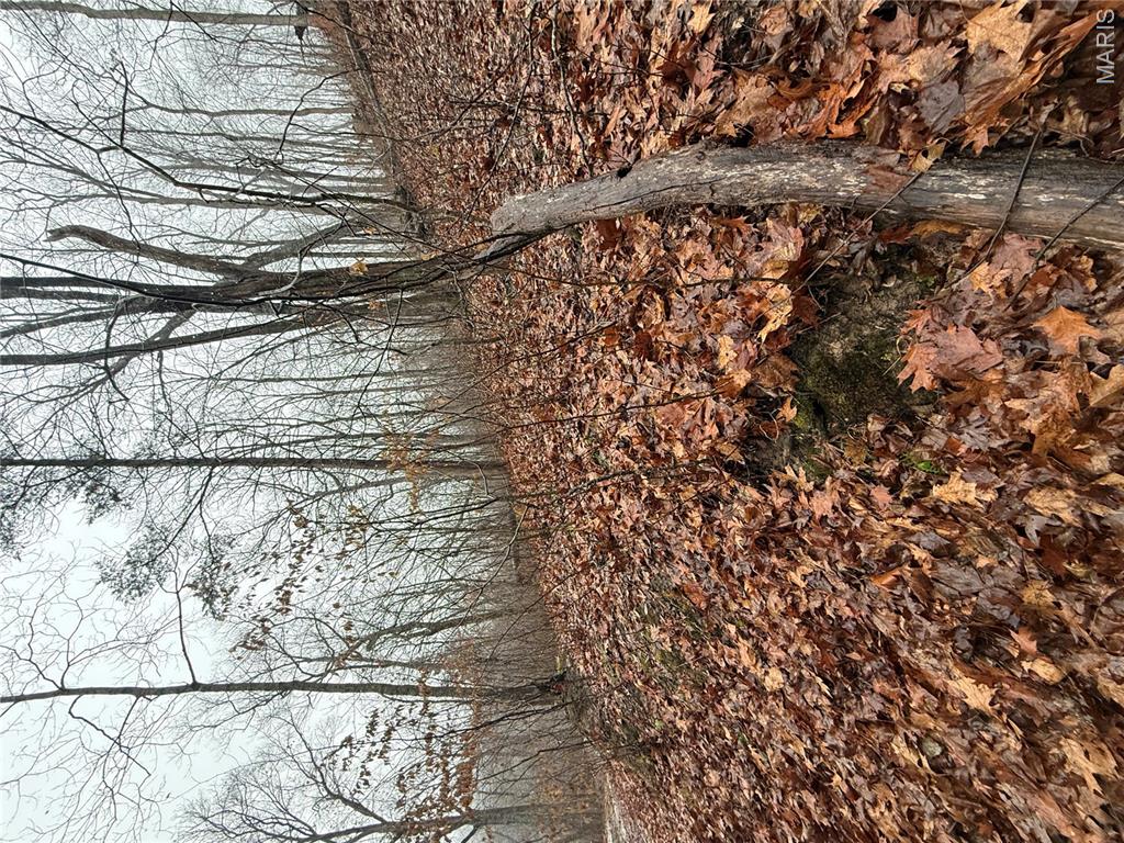 Pinnacle Lake Estates - Land