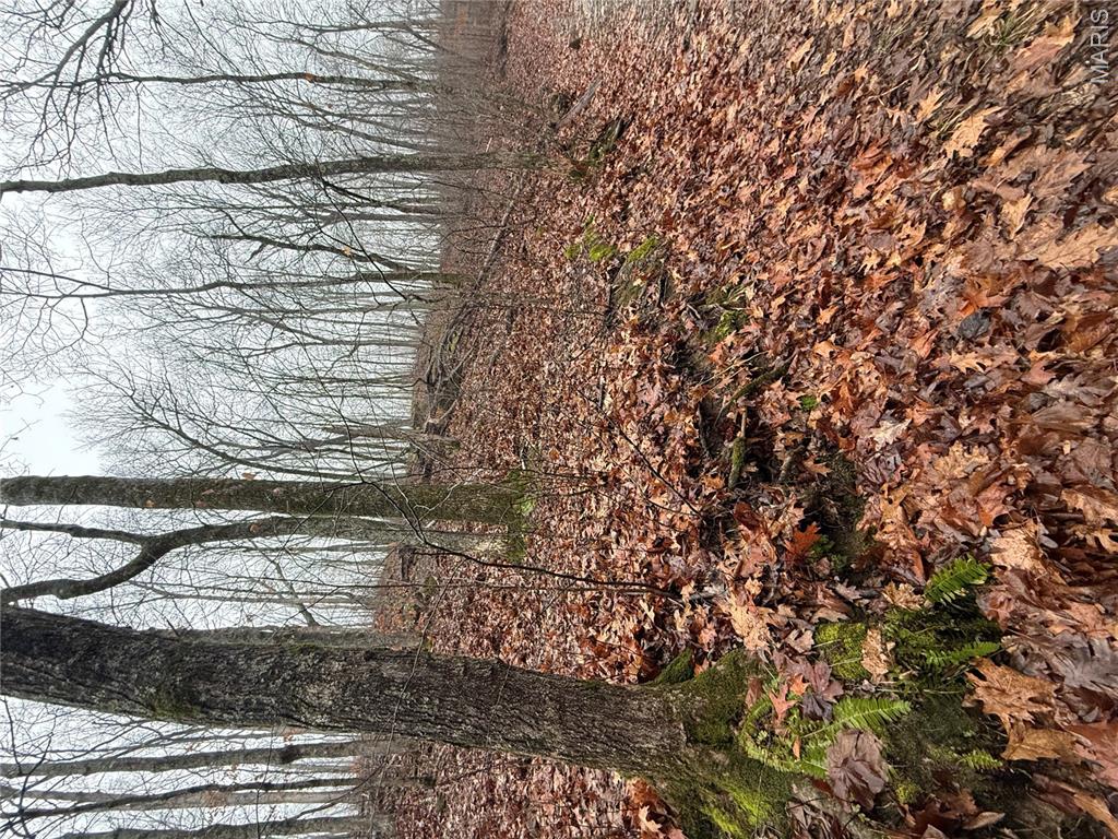 Pinnacle Lake Estates - Land