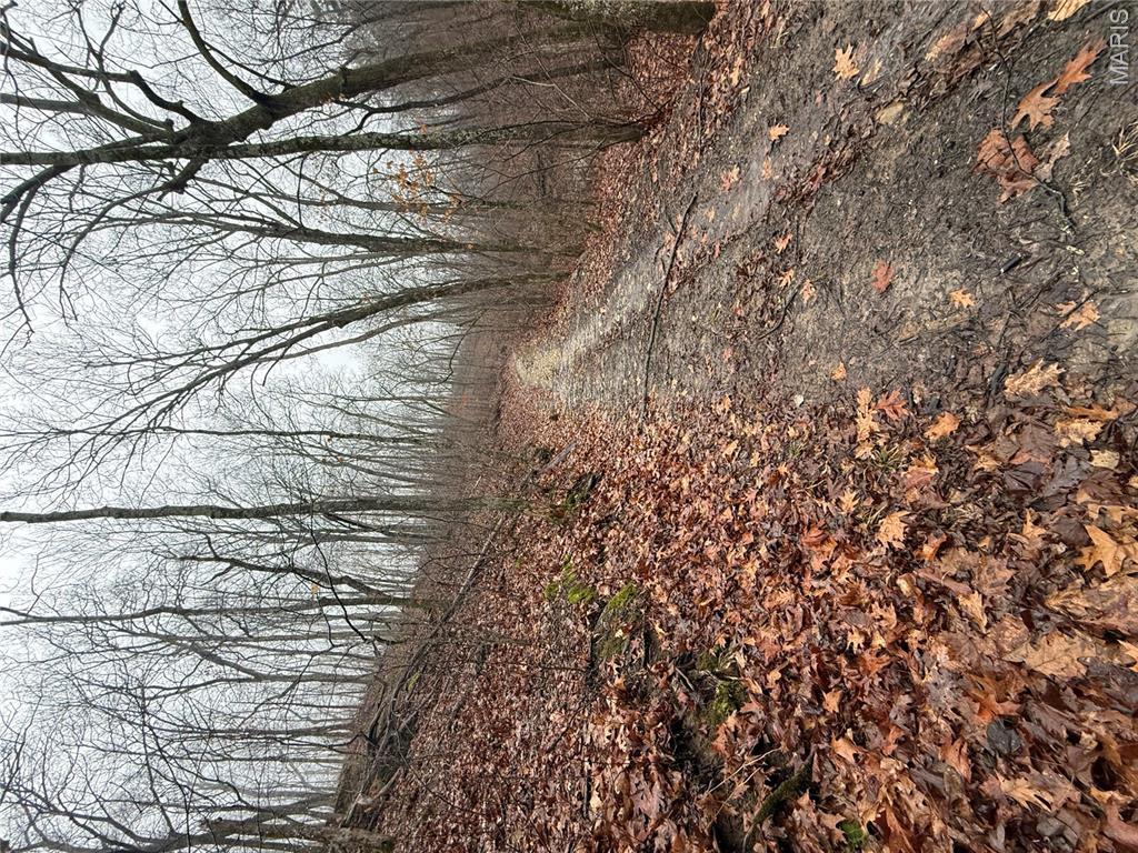 Pinnacle Lake Estates - Land