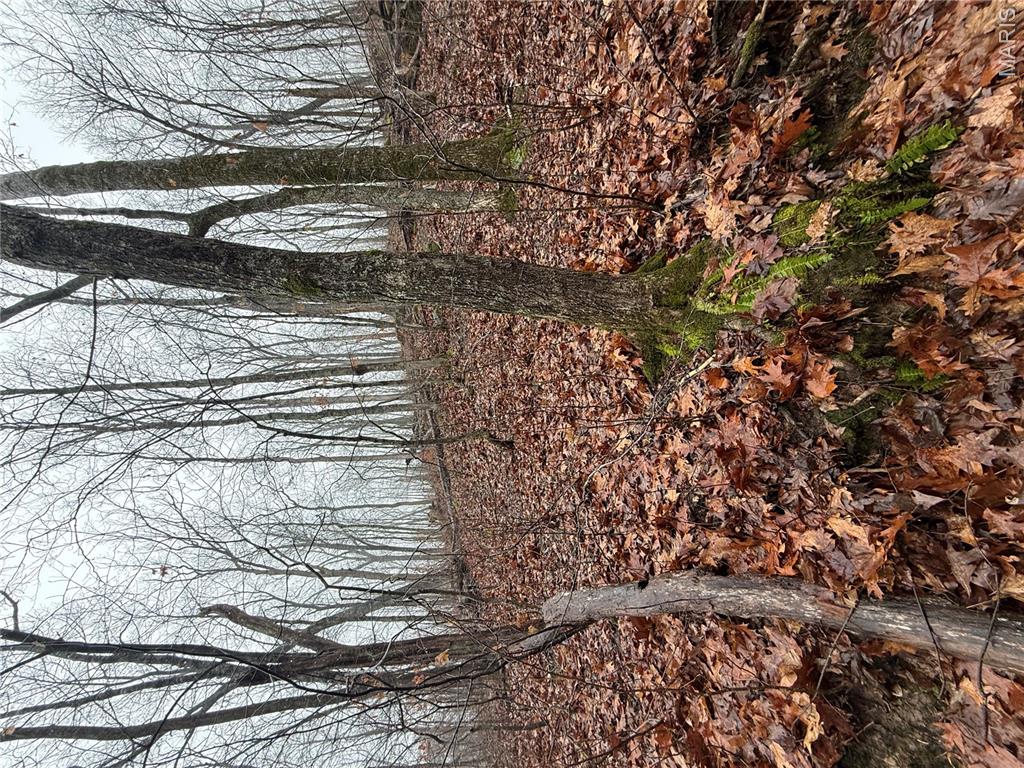 Pinnacle Lake Estates - Land