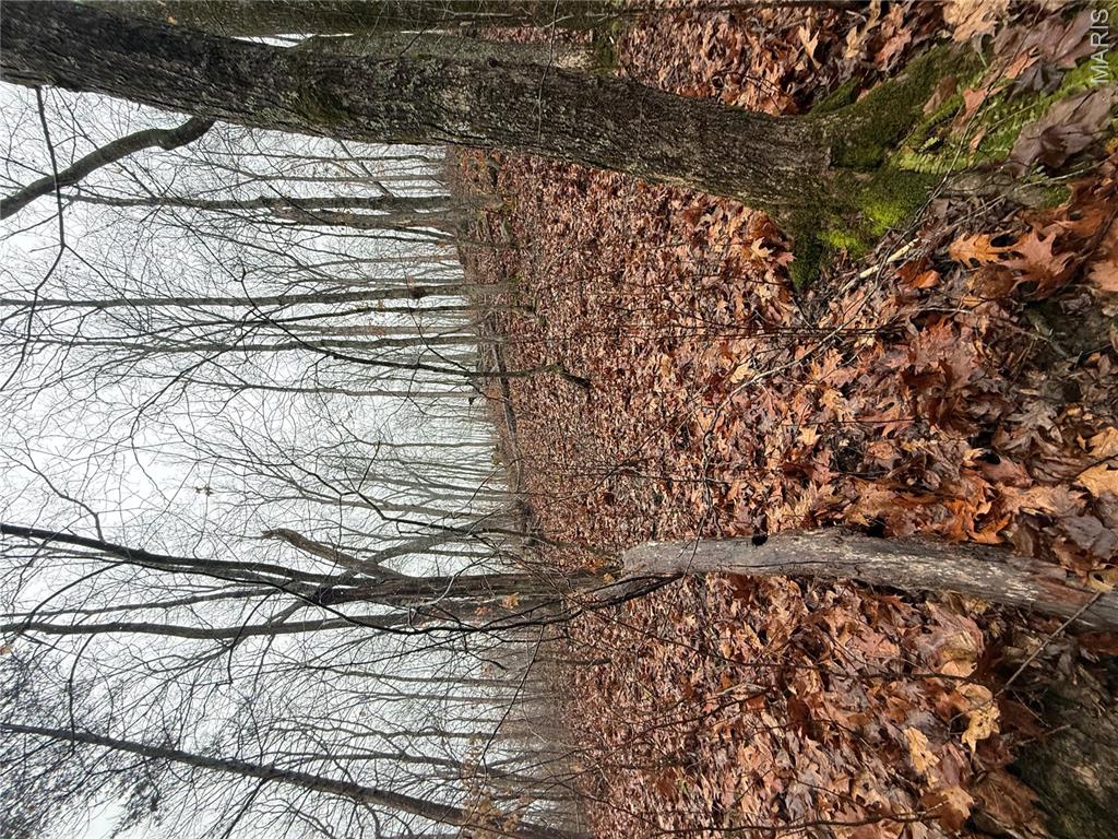 Pinnacle Lake Estates - Land