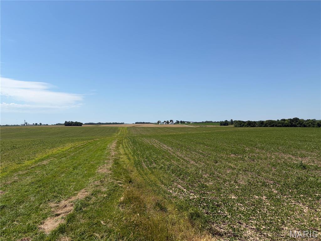 No - Farm