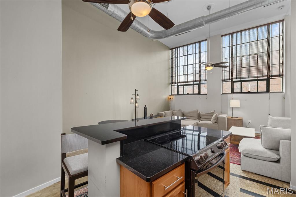 Eden Lofts Condos - Residential