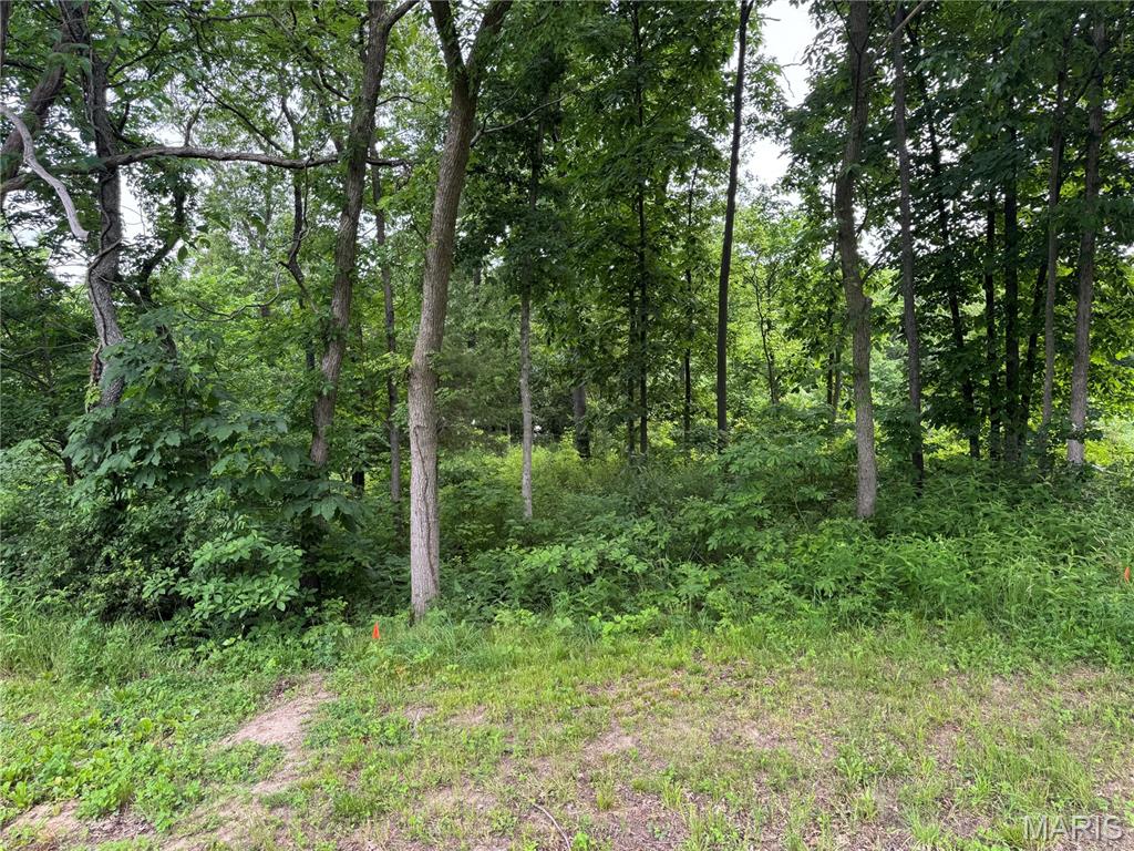Not in a Subdivision - Land