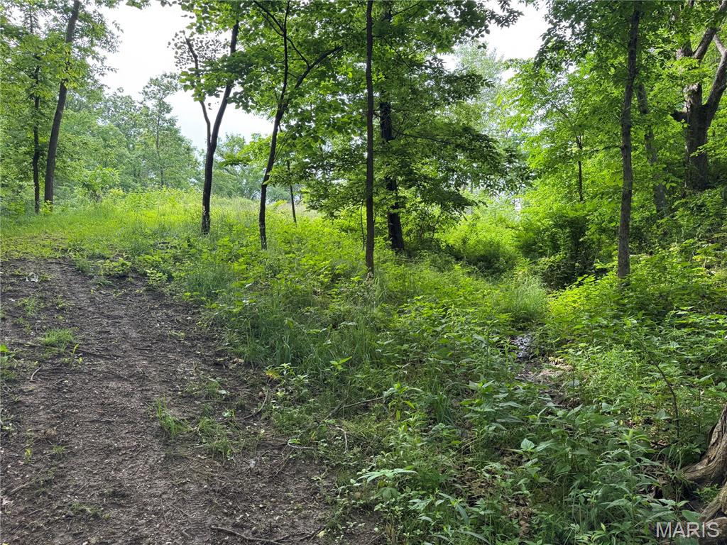 Not in a Subdivision - Land