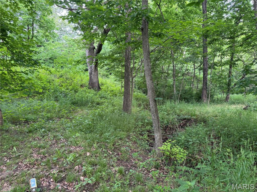 Not in a Subdivision - Land