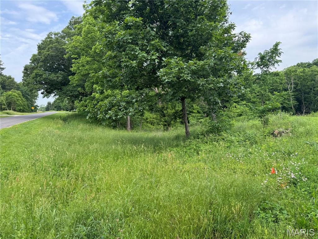Not in a Subdivision - Land