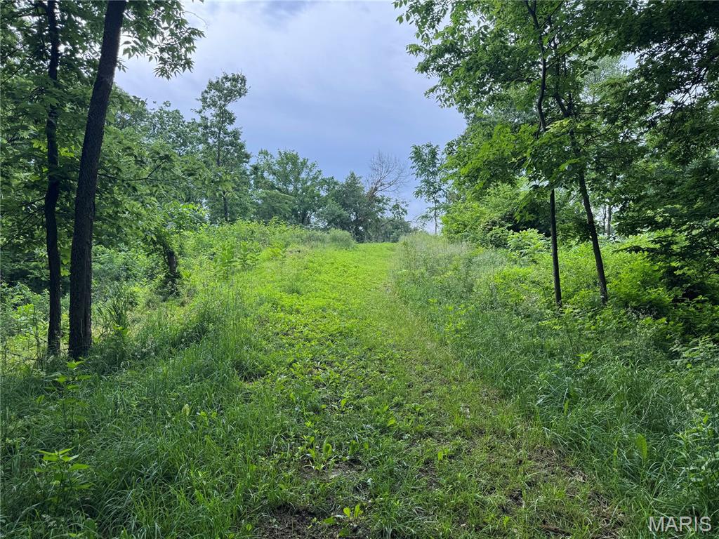 Not in a Subdivision - Land