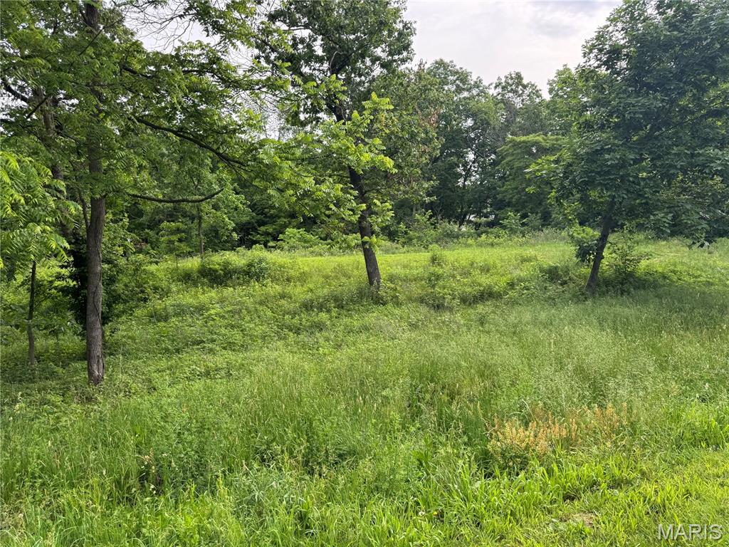 Not in a Subdivision - Land