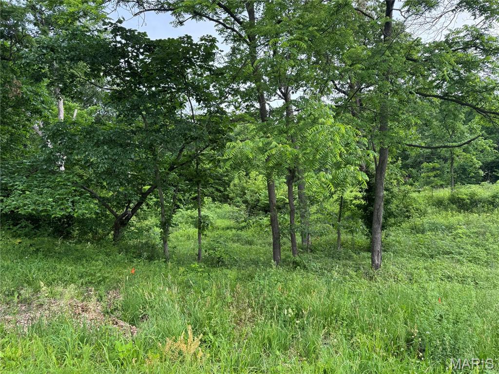 Not in a Subdivision - Land