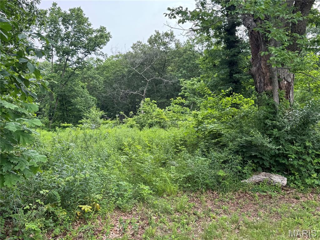Not in a Subdivision - Land