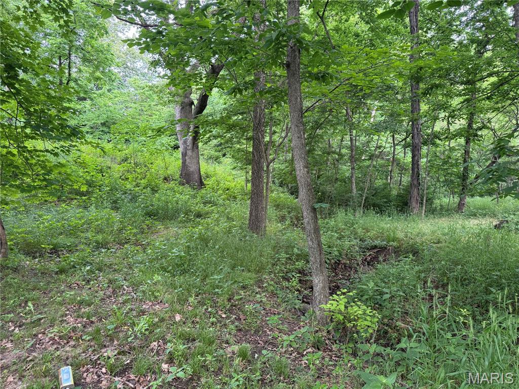 Not in a Subdivision - Land