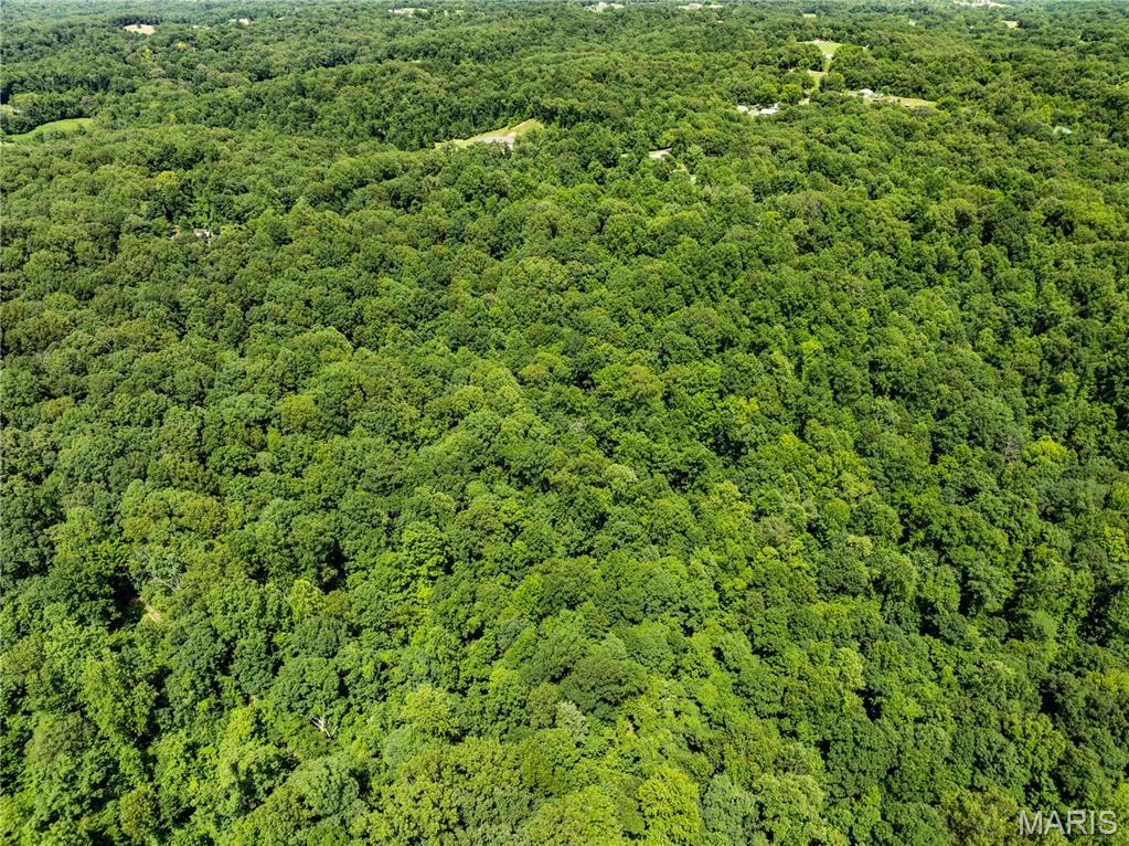 Escape to your own private slice of Scott County with this 13.65± acre wooded tract located just a few miles outside the Chaffee city limits. Offering a combination of seclusion, wildlife habitat, and potential building sites, this property is well-suited for hunting, recreation, or creating a private country homesite.

The land features mature timber, abundant deer and other wildlife, and several scenic ridges and steep fingers that lead down to a flatter bottom area. Two relatively level locations provide potential building opportunities, including one site with road frontage that could simplify access and future development.

With frontage along County Highway 227, access is convenient while still maintaining a peaceful, secluded setting. Electric service is available nearby, providing an option for future residential or recreational use. There is no HOA and no known subdivision restrictions, allowing flexibility for your plans.

Whether you’re looking for a hunting retreat, a weekend getaway, or a future homesite tucked away in the woods, this property offers a rare opportunity to enjoy the beauty and privacy of rural Missouri.

Property Highlights:

13.65± wooded acres
Road frontage along County Highway 227
Two potential build sites, including one with road frontage
Mature timber throughout the property
Excellent deer and wildlife habitat
Scenic terrain with ridges, draws, and a flat bottom area
Electric available nearby
No HOA
Private, secluded setting
Located just minutes from Chaffee and a short drive to Cape Girardeau
Bring your vision and explore the possibilities this versatile recreational and residential tract has to offer.