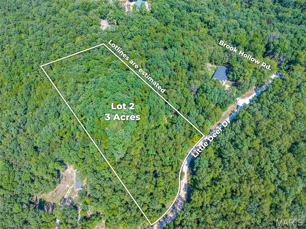 Build your dream home on this beautiful 3-acre homesite in Twin Fawn Estates! Offering plenty of space and privacy, this lot provides the perfect opportunity to create the home and lifestyle you’ve been envisioning. Enjoy the peace and quiet of a spacious country setting. Whether you’re ready to build now or looking for the perfect piece of land for the future, Lot #2 is ready for your ideas!