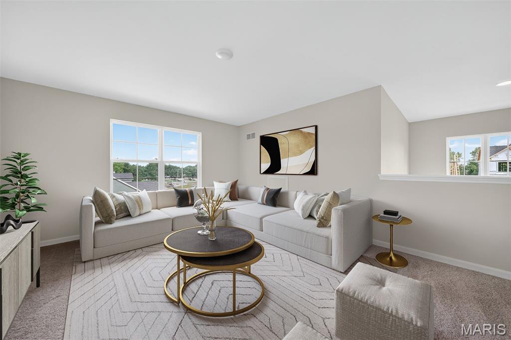 The Villages at Post Farms Manors - Residential