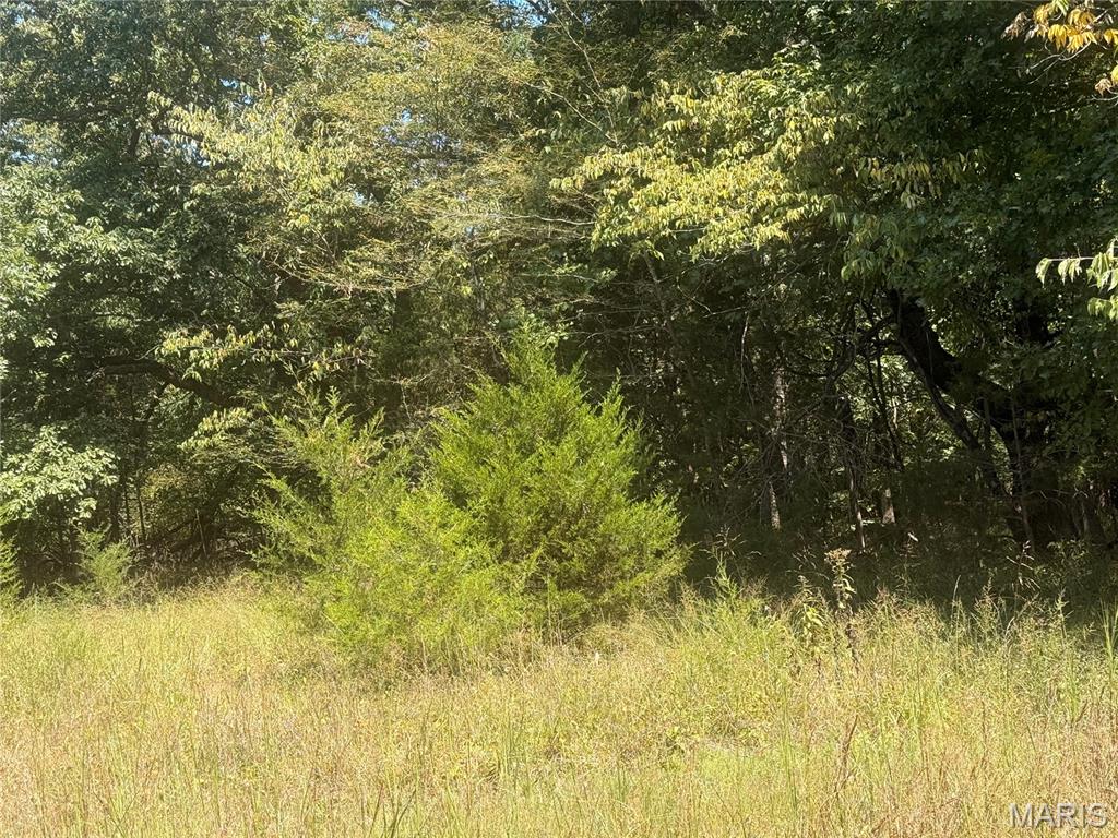 Big River Hills - Land
