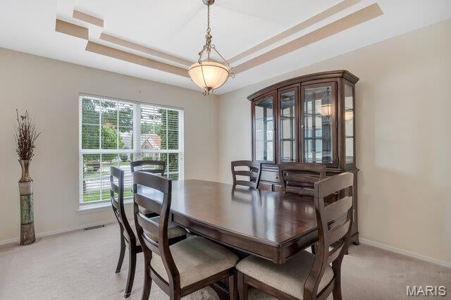 Saratoga Village At Barrington Downs - Residential