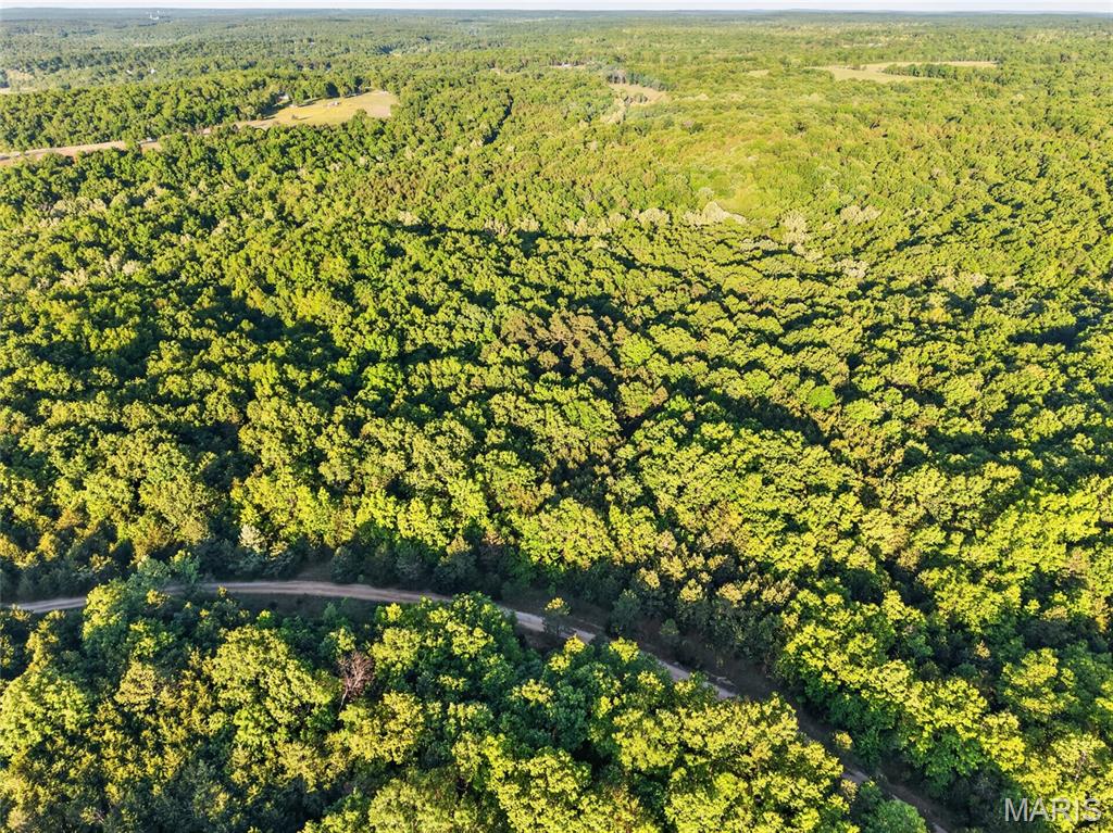 **The parent tax ID for this lot / parcel is: 111001200000000300000. This listing is for parcel 3 only (8.19 acres).

8.19 +/- Acres Missouri Mixed-Timber Opportunity 


Step into tremendous possibilities on this 8.19 +/- acre tract (parcel #3) located off a quiet, private county road in Blackwell, MO. This Washington County gem has been recently surveyed, ensuring exact acreage, accuracy, and clearly marked property boundaries. If you are searching for an exceptional blend of recreational freedom and rural living, this property delivers. The land features a gently sloping landscape for your recreational getaway, dream home or a weekend hunting cabin. Blanketed in beautiful mixed timber, this tract provides natural privacy and quality cover for whitetail deer or wild turkey. A wet-weather creek winds along the back boundary, serving as a natural draw for local wildlife. The area is known for its Druse Quarts, Missouri Lace Agate and Barite (Tiff) formations for the crystal hunters & enthusiasts. 
This property has abundant wild game sign and is full of character and diversity. Whether you are looking to hunt, explore the outdoors, or homestead, this ground is a fantastic opportunity to call your own. Outdoor enthusiasts will love the proximity to regional recreation with St. Francois State Park, the Big River, and multiple surrounding lakes for fishing and outdoor recreation just minutes away. 
Additionally, the seller owns adjoining parcels that may be made available for purchase in the future.

Property Highlights
8.19 +/- surveyed acres in Blackwell, MO 
Recent survey completed for exact acreage verification and clear boundaries
Minutes from recreation at St. Francois State Park, the Big River, and multiple local lakes
Secluded and Tucked away quietly off a private county road
Established mixed timber stands 
Quality bedding and cover for wildlife
Several natural and man-made watering holes for wild game
Gently sloping terrain offering build site or cabin location
Wet-weather creek wandering along the back of the property
Highly capable hunting ground with abundant wildlife
Druse Quartz, Missouri Lace Agate, and Barite (Tiff) abound in the area
Scenic Washington & St. Francois counties surrounding
1 hour 10 mins to St. Louis

This listing represents one individual parcel. Seller owns an adjacent parcela currently listed for sale (MLS#26036712 ;  MLS#26030412 ; MLS#26030409 ), additional neighboring tracts that may be made available for purchase in the future. Contact listing agent for details / future availability.