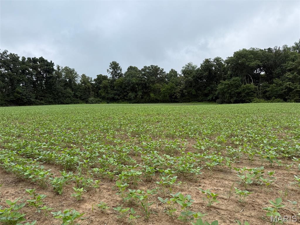 Not in a subdivision - Farm
