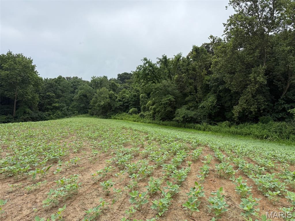 Not in a subdivision - Farm