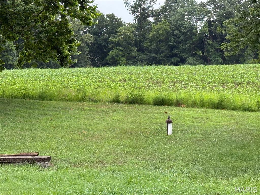 Not in a subdivision - Farm