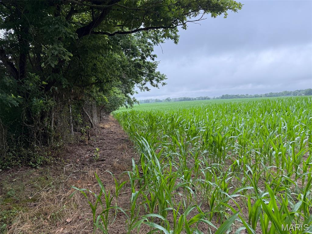 Not in a subdivision - Farm