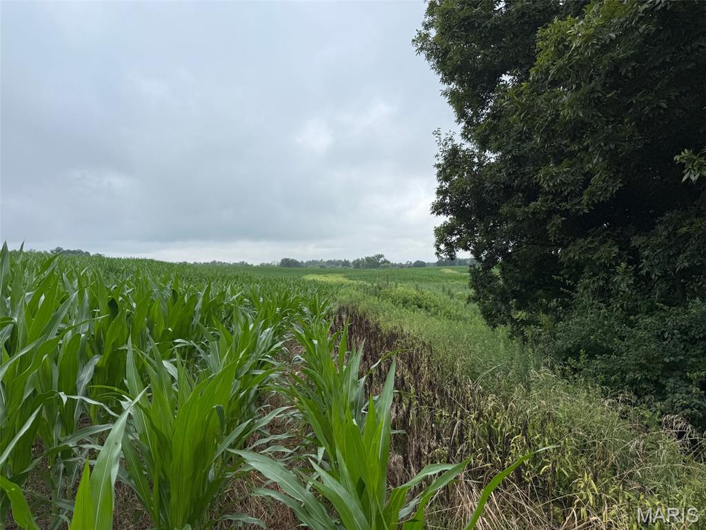 Not in a subdivision - Farm