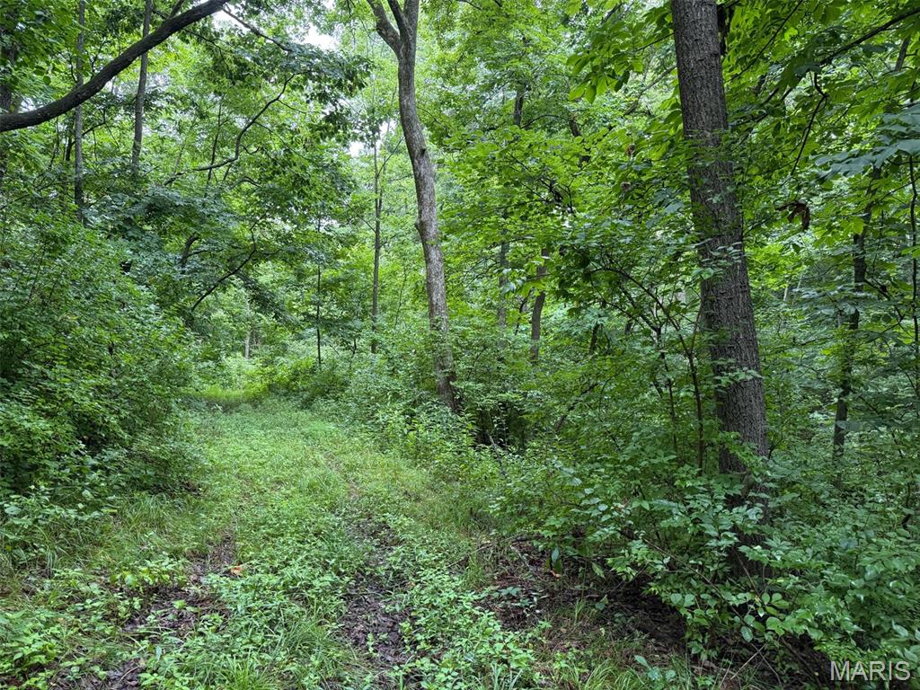 Not in a subdivision - Farm
