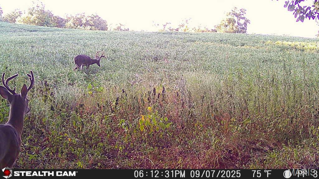 Not in a subdivision - Farm
