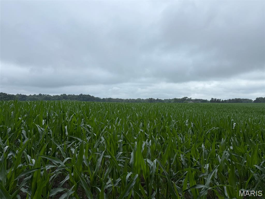 Not in a subdivision - Farm