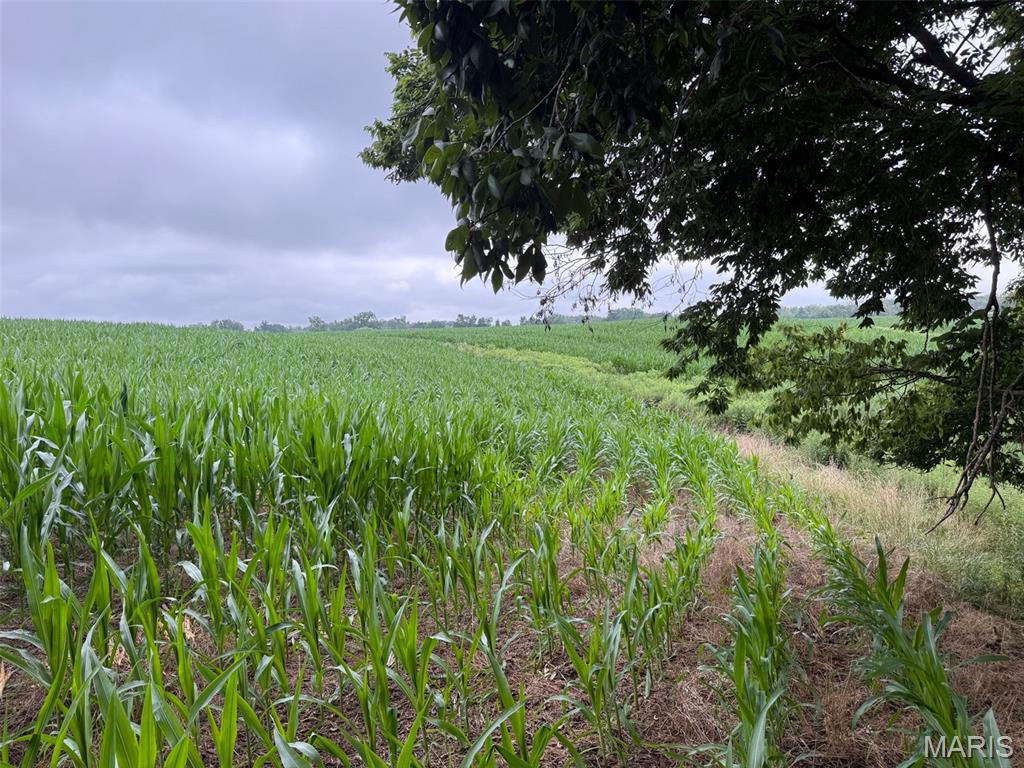 Not in a subdivision - Farm